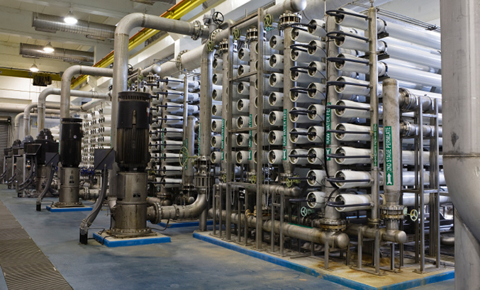 MVRS plant