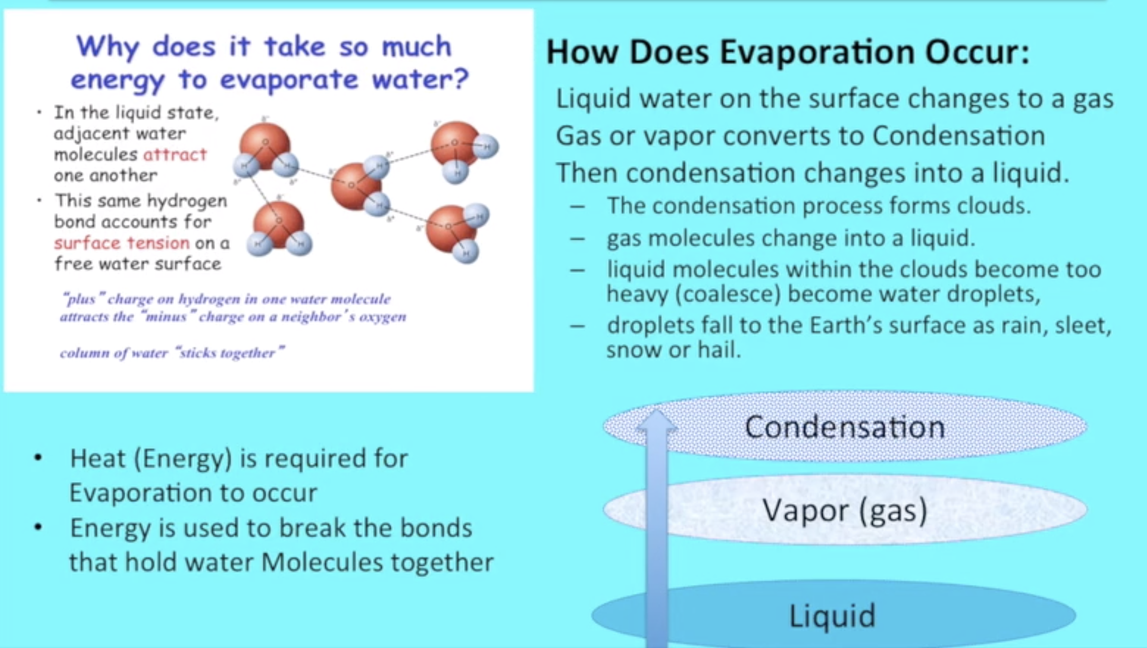 Industrial membrane process optimization and monitoring